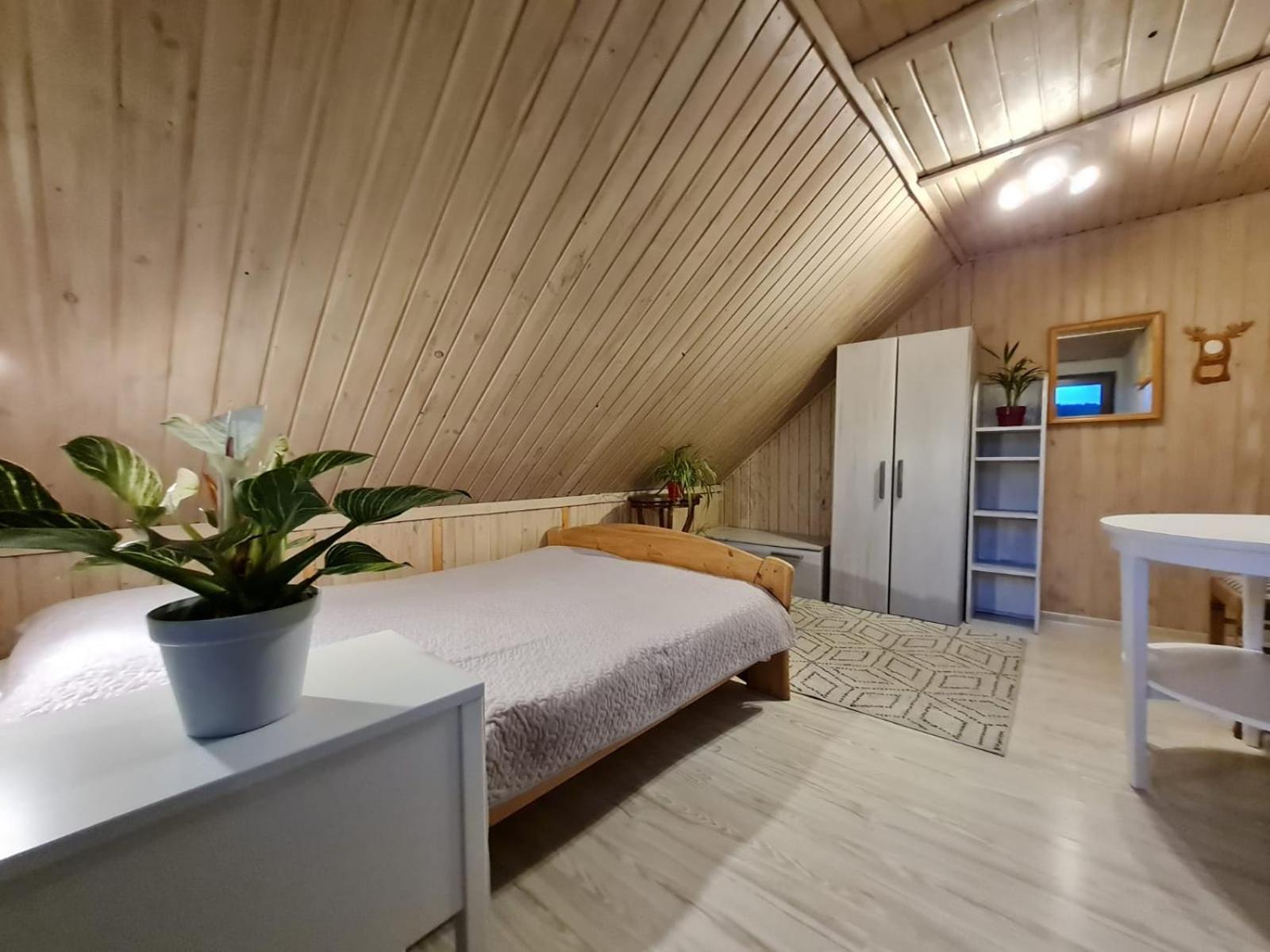 Koliba Nad Bialka Czarna Gora Bed and Breakfast Εξωτερικό φωτογραφία
