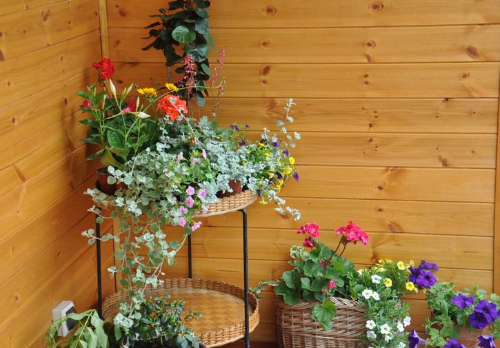 Koliba Nad Bialka Czarna Gora Bed and Breakfast Εξωτερικό φωτογραφία